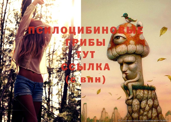 jwh Волосово
