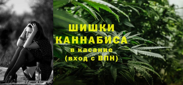 стаф Волоколамск
