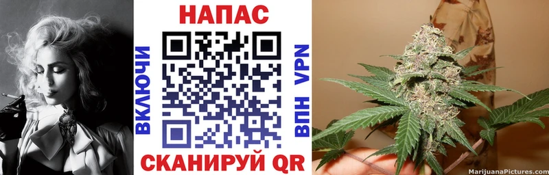 магазин    Нея  mega рабочий сайт  Бошки марихуана планчик 